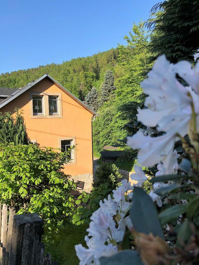 Ferienwohnung Fuchsbau Königstein Exterior foto